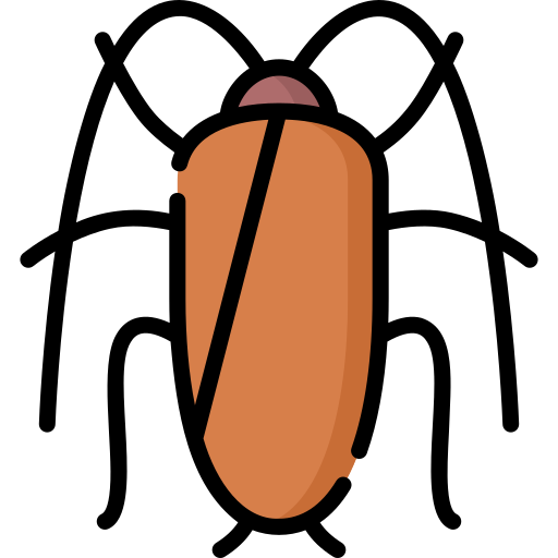 cockroach