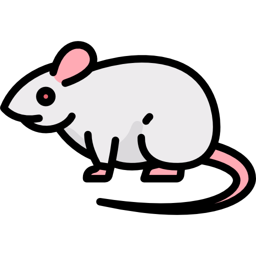 mouse 1