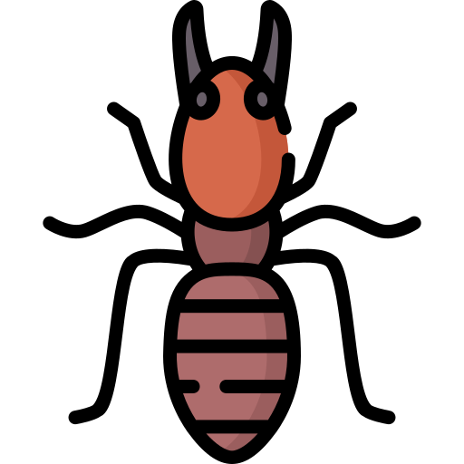 soldier termite