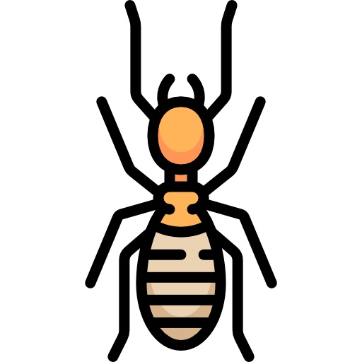 termite